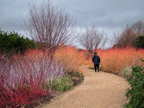 Anglesey Abbey