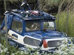 Derelict Boat